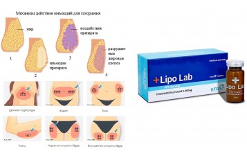 ЛИПОЛИТИК «LIPO LAB PPC SOLUTIONS»